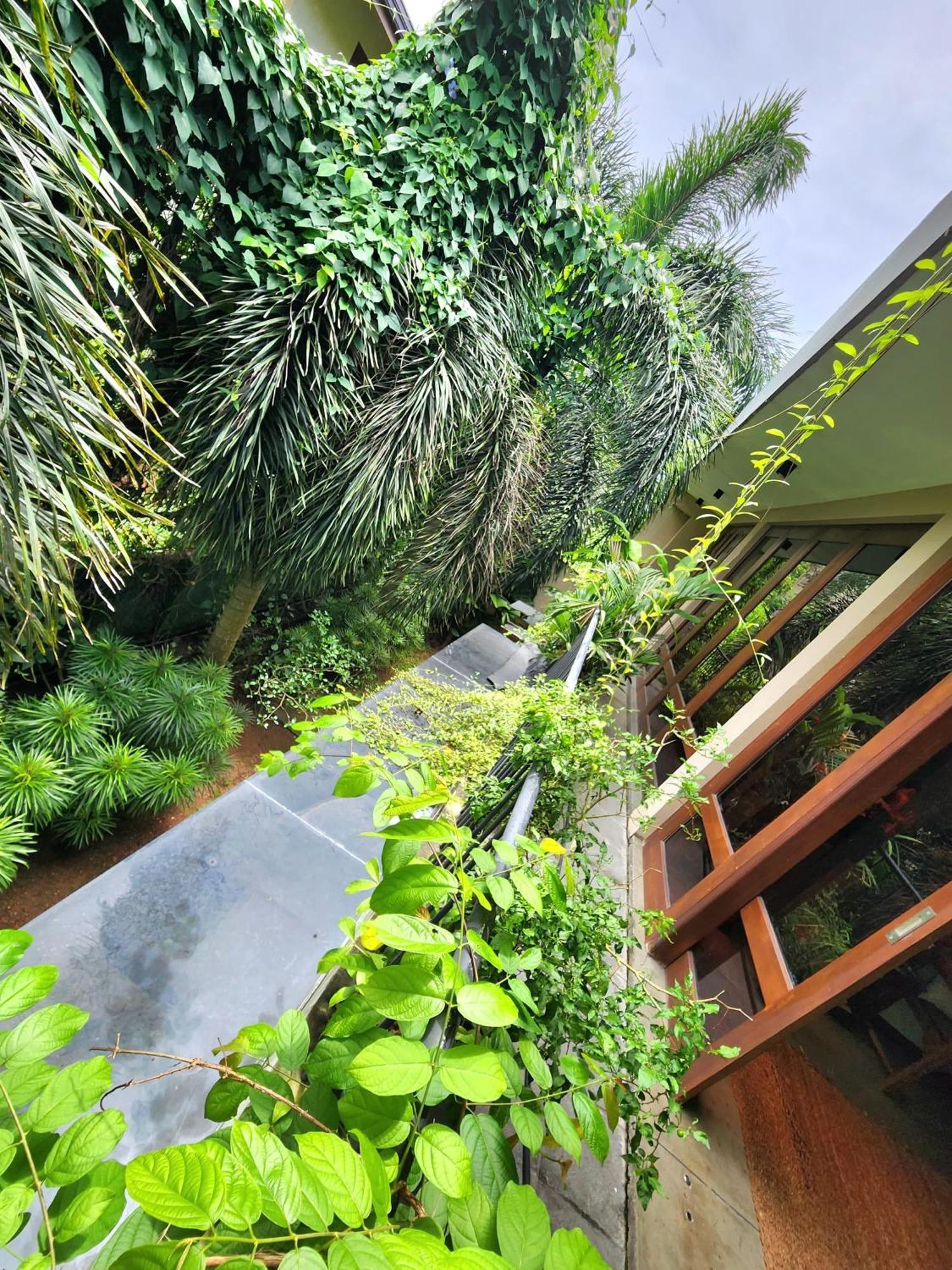 Cozy Luxury Room With Balcony View ! 拉夏吉里雅 外观 照片